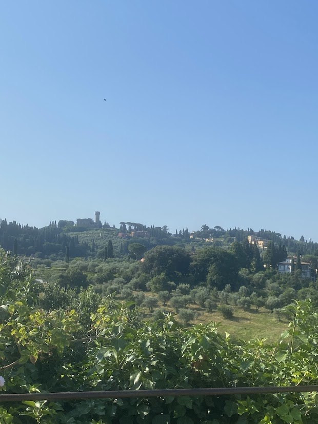 Knights Garden Boboli Gardens terrace view