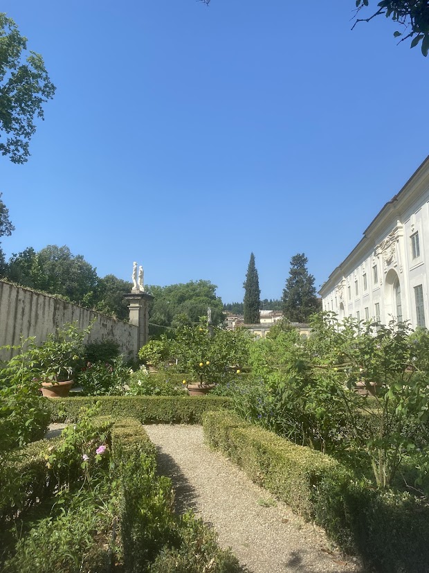 Lemon trees outside La Limonaia Boboli Gardens