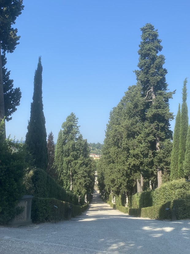 Viale del Cipress cypress avenue Boboli Gardens