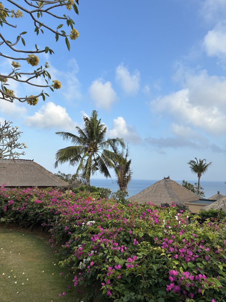 Bougainvillea with the Indian Ocean beyond, from the villa garden